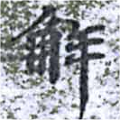 解 위치 확인됨