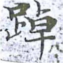 踔の位置