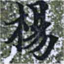 已定位楊