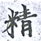 精 위치 확인됨