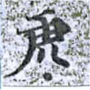 已定位虎