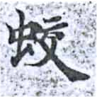 Đã định vị 蛟