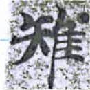 Đã định vị 雉