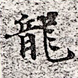 已定位龍