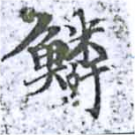 位置 確認된 鱗