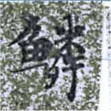 位置 確認된 鱗