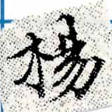 已定位楊