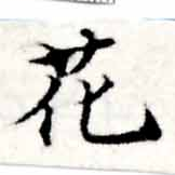 位置 確認된 花