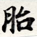 Located 胎