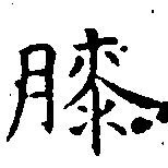 已定位膝