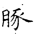 豚 위치 확인됨