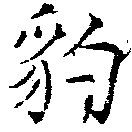 已定位豹