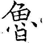 Đã định vị 魯