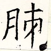 胏 위치 확인됨