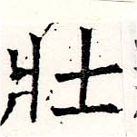 已定位壯
