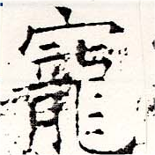 㐌定位寵