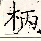 位置定マレル柄