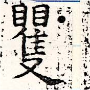 矍 위치 확인됨
