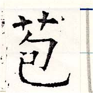 苞の位置