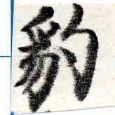 已定位豹