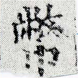 Đã định vị 幣