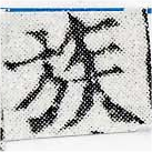 已定位族