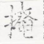 掩の位置