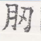 肕の位置