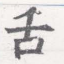 已定位舌