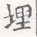 位置定マレル埋