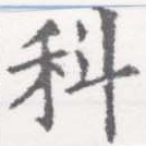 位置定マレル科