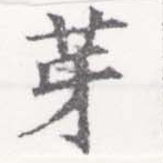 位置 確認된 芽