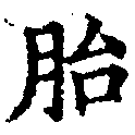 Located 胎