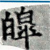 皞 위치 확인됨