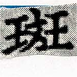 位置定マレル斑