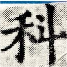 位置定マレル科