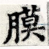 膜 위치 확인됨