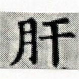 已定位肝