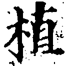 位置 確認된 植