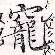 㐌定位寵