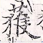 已定位獲