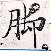位置 確認된 脚