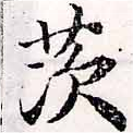 Đã định vị 茨