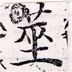 已定位莖