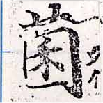 已定位菌