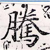 Đã định vị 騰