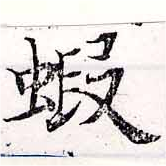 Located 蝦