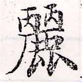 麗の位置