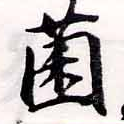 已定位菌