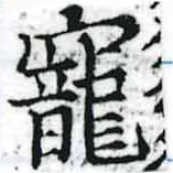 㐌定位寵